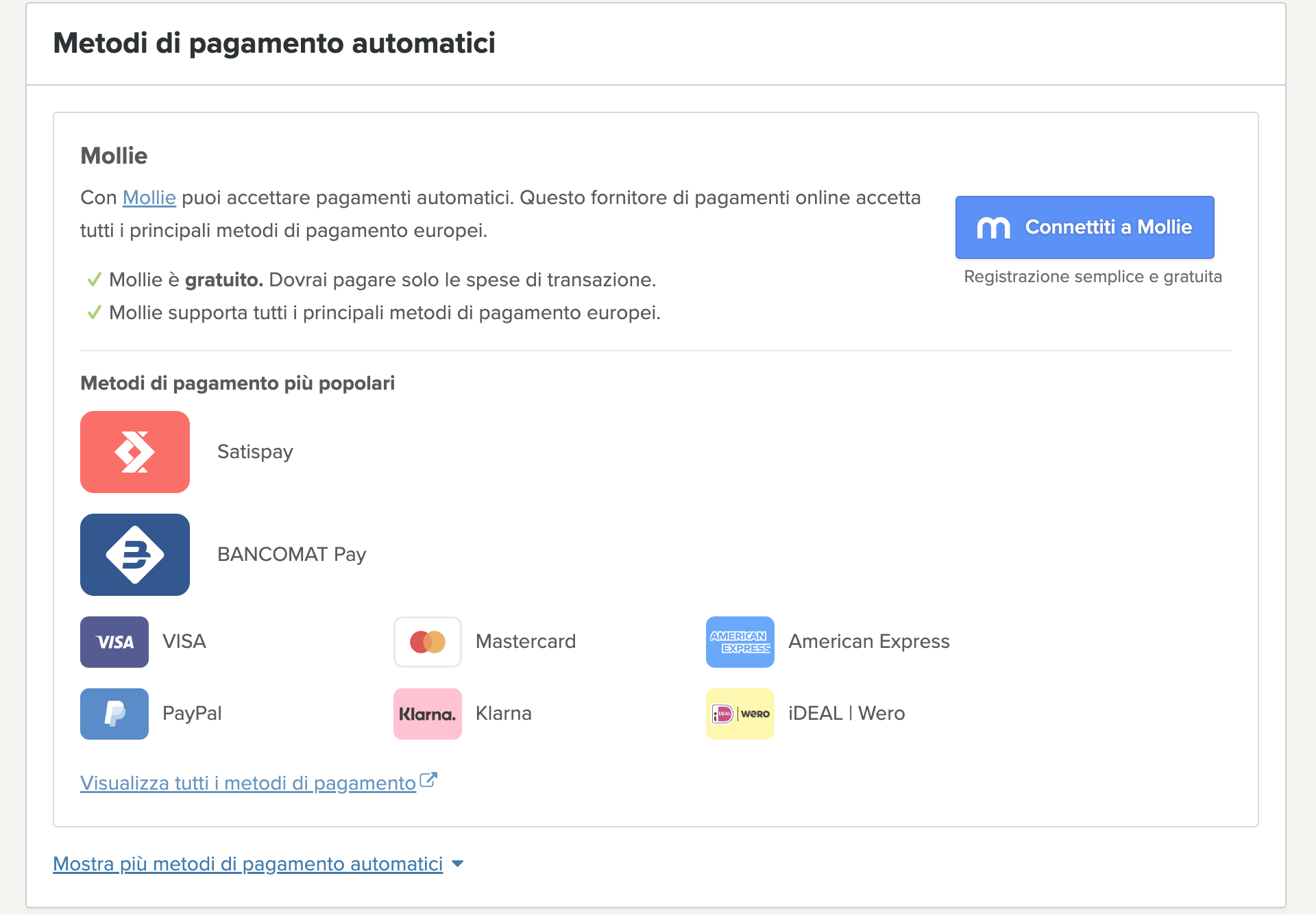 Mollie.png